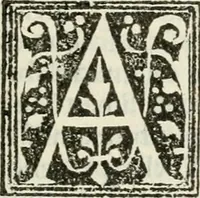 An illustration from Francisci Marii Grapaldi De partibvs aedivm libellvs cvm additamentis emendatissimvs (1501)