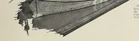 An illustration from Marine engineering & shipping age (1921)