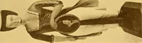 Picture 84 of 113 from The Marine room of the Peabody museum of Salem (1921), leaf 236