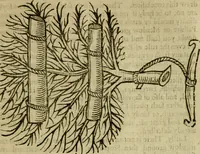 An illustration from Markham's farewel to husbandry, or, The enriching of all sorts of barren and sterile grounds in our nation ... : together with the annoyances, and preservation of all grain and seed, from one year to many years : as also a husbandly computation of men and cattels daily labours, their expences, charges, and utmost profits (1676)