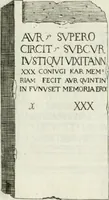 An illustration from Marmi cremonesi, ossia, Ragguaglio delle antiche inscrizioni che si conservano nella villa delle Torri de' Picenardi : opera (1791)