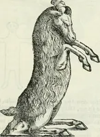 An illustration from Marmora Felsinea : innumeris non solum inscriptionibus exteris hucusque ineditis : sed etiam quamplurimis doctissimorum virorum expositionibus roborata & aucta : illustrissimo ac amplissimo Bononiae Senatui dicata (1690)