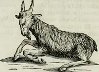 An illustration from Marmora Felsinea : innumeris non solum inscriptionibus exteris hucusque ineditis : sed etiam quamplurimis doctissimorum virorum expositionibus roborata & aucta : illustrissimo ac amplissimo Bononiae Senatui dicata (1690)