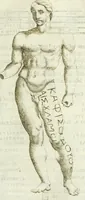 An illustration from Marmora Felsinea : innumeris non solum inscriptionibus exteris hucusque ineditis : sed etiam quamplurimis doctissimorum virorum expositionibus roborata & aucta : illustrissimo ac amplissimo Bononiae Senatui dicata (1690)