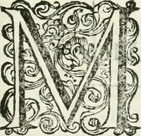 Picture 79 of 98 from Marmora Felsinea : innumeris non solum inscriptionibus exteris hucusque ineditis : sed etiam quamplurimis doctissimorum virorum expositionibus roborata & aucta : illustrissimo ac amplissimo Bononiae Senatui dicata (1690), leaf 548