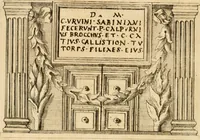Picture 11 of 28 from Marmora Pisaurensia notis illustrata (1737), leaf 79