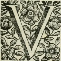 An illustration from Marmor Pisanum de honore bisellii : parergon inseritur de veterum sellis, synopsis appenditur de re donatica antiquorum, quam breui spondet (1666)