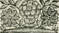An illustration from Marmor Pisanum de honore bisellii : parergon inseritur de veterum sellis, synopsis appenditur de re donatica antiquorum, quam breui spondet (1666)