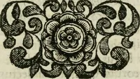 An illustration from Marmor Pisanum de honore bisellii : parergon inseritur de veterum sellis, synopsis appenditur de re donatica antiquorum, quam breui spondet (1666)