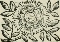 An illustration from Marmor Pisanum de honore bisellii : parergon inseritur de veterum sellis, synopsis appenditur de re donatica antiquorum, quam breui spondet (1666)