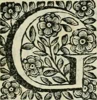 An illustration from Marmor Pisanum de honore bisellii : parergon inseritur de veterum sellis, synopsis appenditur de re donatica antiquorum, quam breui spondet (1666)