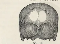 Picture 5 of 12 from Marriage : its history and ceremonies : with a phrenological and physiological exposition of the functions and qualifications for happy marriages (1847), leaf 108