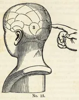 Picture 6 of 12 from Marriage : its history and ceremonies : with a phrenological and physiological exposition of the functions and qualifications for happy marriages (1847), leaf 113