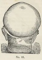Picture 12 of 12 from Marriage : its history and ceremonies : with a phrenological and physiological exposition of the functions and qualifications for happy marriages (1847), leaf 224