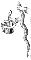 An illustration from Martinka and Co.'s 1899 "End of Century" magician's catalog. (1899)