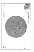 Picture 19 of 19 from Martinka and Co.'s 1899 "End of Century" magician's catalog. (1899), leaf 241