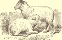 An illustration from The marvel of nations. Our country: its past, present, and future, and what the Scriptures say of it (1887)