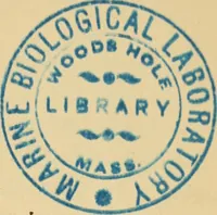 An illustration from Marvels of pond-life : or, A year's microscopic recreations among the polyps, infusoria, rotifers, water-bears, and polyzoa (1861)