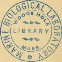 An illustration from Marvels of pond-life : or, A year's microscopic recreations among the polyps, infusoria, rotifers, water-bears, and polyzoa (1861)