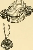 An illustration from The Mary Frances knitting and crocheting book; (1918)