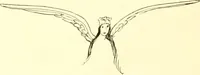 An illustration from The Mary Frances knitting and crocheting book; (1918)