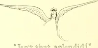 Picture 178 of 266 from The Mary Frances knitting and crocheting book; (1918), leaf 193
