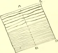 An illustration from The Mary Frances knitting and crocheting book; (1918)