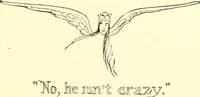 Picture 190 of 266 from The Mary Frances knitting and crocheting book; (1918), leaf 208