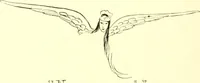 An illustration from The Mary Frances knitting and crocheting book; (1918)