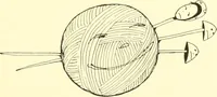 Picture 230 of 266 from The Mary Frances knitting and crocheting book; (1918), leaf 258