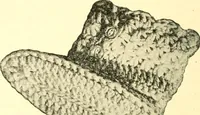 An illustration from The Mary Frances knitting and crocheting book; (1918)