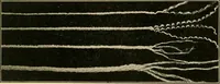 An illustration from The Mary Frances knitting and crocheting book; (1918)