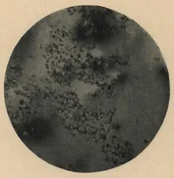An illustration from The Cunningham Paint book : a concise treatise and reference book for paint users, containing practical information on the composition, properties, and uses of paint in general, and of Cunningham Protective Paint in particular (1912)