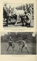 Picture 4 of 8 from The Masai : their language and folklore (1905), leaf 310