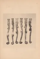 Picture 1 of 5 from Masterpieces in Chinese national art : the collection of Mr. Seaouk'e Yue (1916), leaf 31
