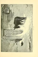 Picture 16 of 18 from The masterpieces of the Centennial international exhibition illustrated.. (1876), leaf 521