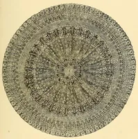 An illustration from The masterpieces of the Centennial international exhibition illustrated.. (1876)