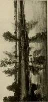 An illustration from The masterpieces of Constable (1776-1837). Sixty reproductions of photographs from the original paintings, affording examples of the different characteristics of the artist's work (1910)