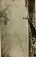 An illustration from The masterpieces of Constable (1776-1837). Sixty reproductions of photographs from the original paintings, affording examples of the different characteristics of the artist's work (1910)