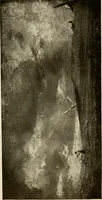 An illustration from The masterpieces of Constable (1776-1837). Sixty reproductions of photographs from the original paintings, affording examples of the different characteristics of the artist's work (1910)