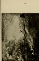 An illustration from The masterpieces of Constable (1776-1837). Sixty reproductions of photographs from the original paintings, affording examples of the different characteristics of the artist's work (1910)