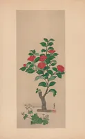 An illustration from Masterpieces selected from the Kôrin school : with biographical sketches of the artists of the school, and some critical descriptions (1903)