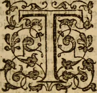 An illustration from Master Bezaes sermons upon the three first chapters of the Canticle of Canticles : wherein are handled the chiefest points of religion controversed and debated betweene us and the adversarie at this day, especially tovching the trve Iesvs Christ and the trve chvrch, and the certaine & infallible marks both of the one and of the other (1587)