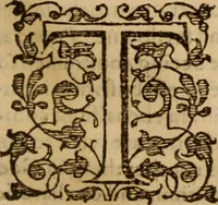 Picture 16 of 30 from Master Bezaes sermons upon the three first chapters of the Canticle of Canticles : wherein are handled the chiefest points of religion controversed and debated betweene us and the adversarie at this day, especially tovching the trve Iesvs Christ and the trve chvrch, and the certaine & infallible marks both of the one and of the other (1587), leaf 222