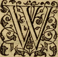 An illustration from Master Bezaes sermons upon the three first chapters of the Canticle of Canticles : wherein are handled the chiefest points of religion controversed and debated betweene us and the adversarie at this day, especially tovching the trve Iesvs Christ and the trve chvrch, and the certaine & infallible marks both of the one and of the other (1587)