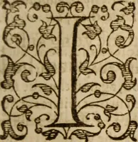 Picture 21 of 30 from Master Bezaes sermons upon the three first chapters of the Canticle of Canticles : wherein are handled the chiefest points of religion controversed and debated betweene us and the adversarie at this day, especially tovching the trve Iesvs Christ and the trve chvrch, and the certaine & infallible marks both of the one and of the other (1587), leaf 306