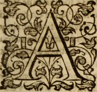 Picture 28 of 30 from Master Bezaes sermons upon the three first chapters of the Canticle of Canticles : wherein are handled the chiefest points of religion controversed and debated betweene us and the adversarie at this day, especially tovching the trve Iesvs Christ and the trve chvrch, and the certaine & infallible marks both of the one and of the other (1587), leaf 394