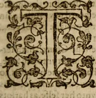 An illustration from Master Bezaes sermons upon the three first chapters of the Canticle of Canticles : wherein are handled the chiefest points of religion controversed and debated betweene us and the adversarie at this day, especially tovching the trve Iesvs Christ and the trve chvrch, and the certaine & infallible marks both of the one and of the other (1587)