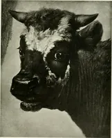 An illustration from Masters in art : a series of illustrated monographs (1900)