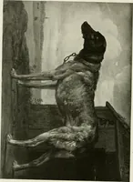 Picture 68 of 129 from Masters in art : a series of illustrated monographs (1900), leaf 256